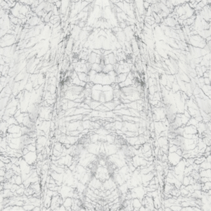Statuario Marble